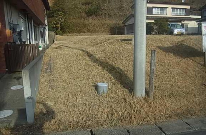 画像なし