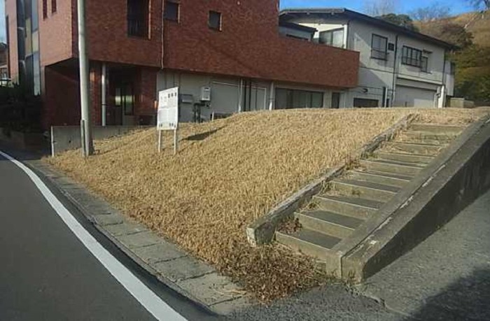 画像なし