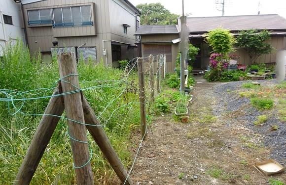 画像なし