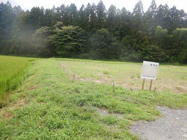 画像なし