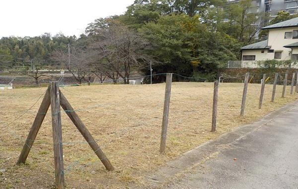 画像なし