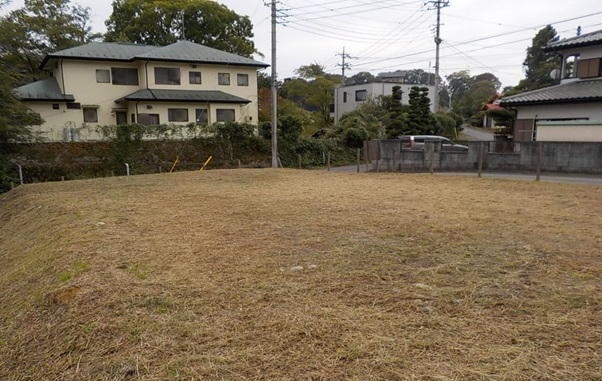 画像なし