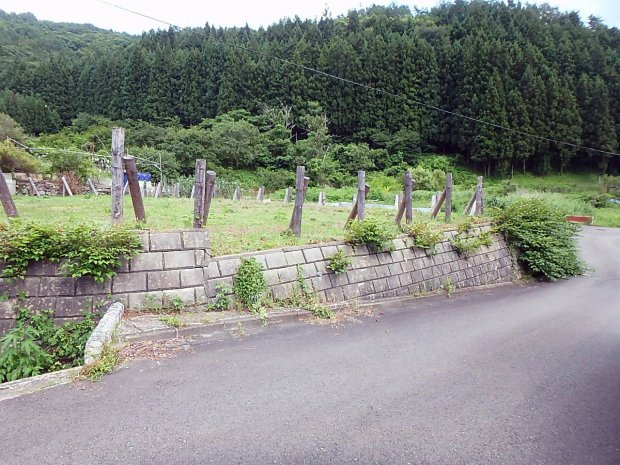 画像なし